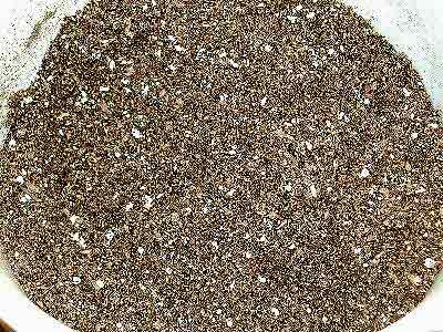 Seed Sowing Medium